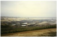 pictures/1992/1992-lustrum-smit-weisweiler